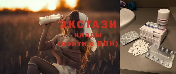 индика Богородицк