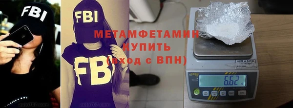 индика Богородицк